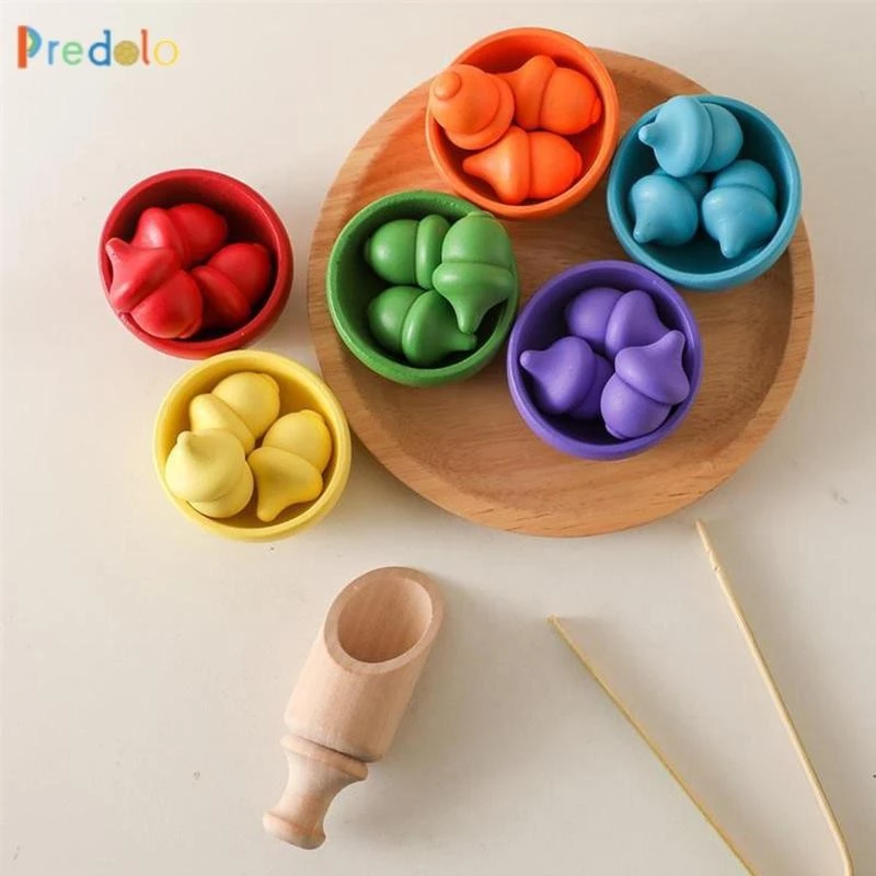 Montessori Sorting Toy